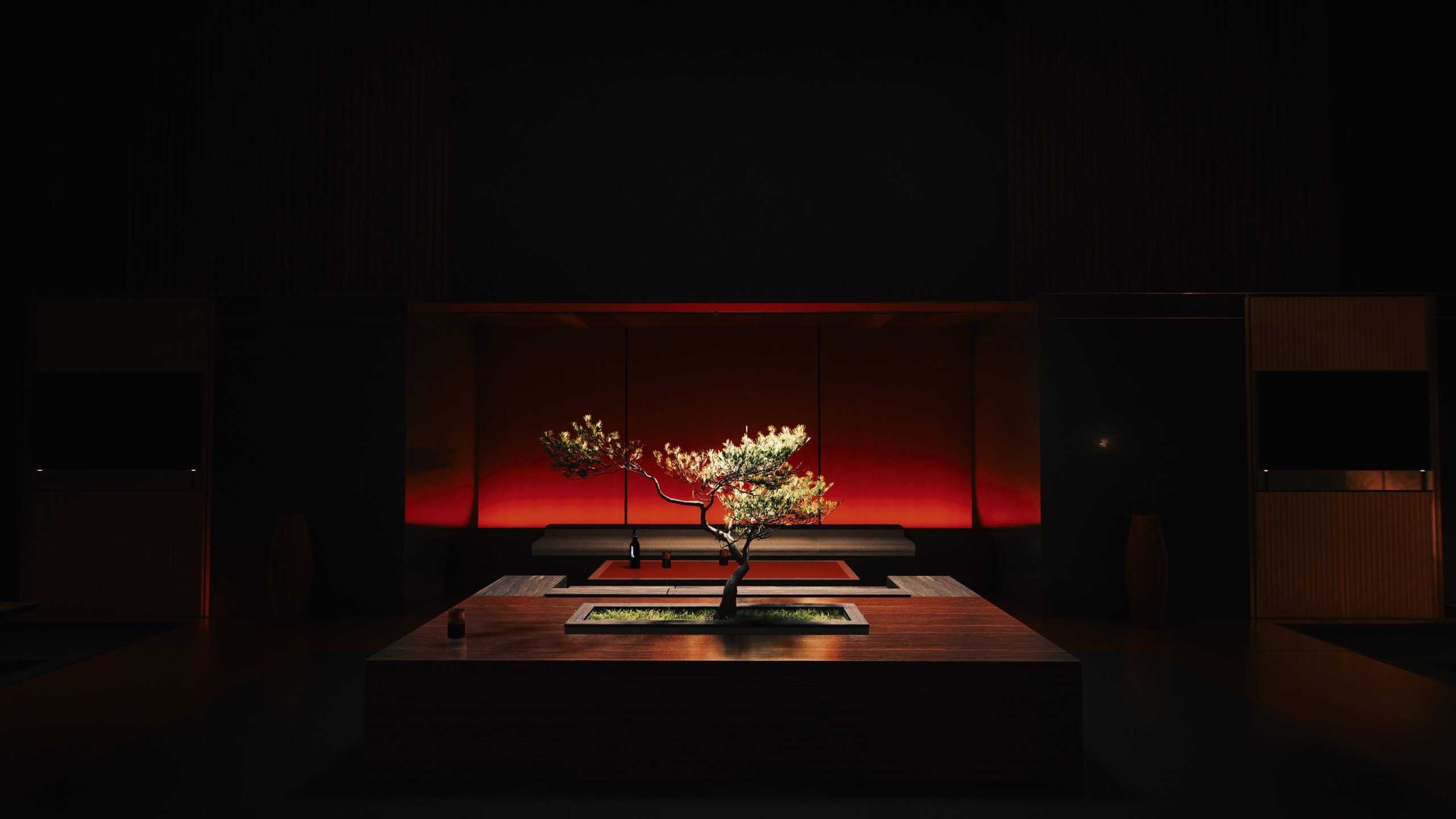 11111111111111111111111-猴哥源码岛