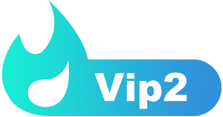 等级-LV2-猴哥源码岛